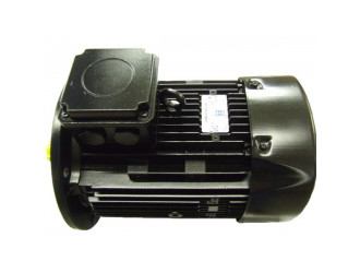 Burner motor - 5